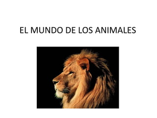 EL MUNDO DE LOS ANIMALES 