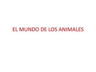 EL MUNDO DE LOS ANIMALES
 