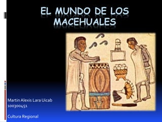 EL MUNDO DE LOS
MACEHUALES
MartinAlexis Lara Uicab
100300451
Cultura Regional
 