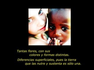Tantas flores, con sus  colores y formas distintas. Diferencias superficiales, pues la tierra  que las nutre y sustenta es sólo una. 