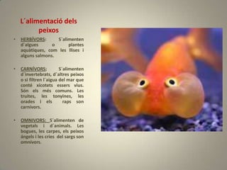 L´alimentació dels
          peixos
•   HERBÍVORS:      S´alimenten
    d´algues      o      plantes
    aquàtiques, com les llises i
    alguns salmons.

•   CARNÍVORS;           S´alimenten
    d´invertebrats, d´altres peixos
    o si filtren l´aigua del mar que
    conté xicotets essers vius.
    Són els més comuns. Les
    truites, les tonyines, les
    orades i els           raps son
    carnívors.

•   OMNIVORS: S´alimenten de
    vegetals i d´animals. Les
    bogues, les carpes, els peixos
    ángels i les cries del sargs son
    omnívors.
 