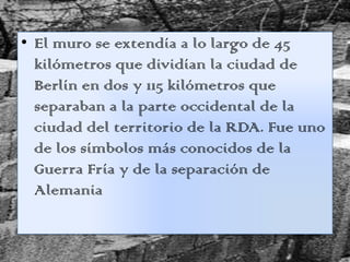 • El muro se extendía a lo largo de 45
kilómetros que dividían la ciudad de
Berlín en dos y 115 kilómetros que
separaban a la parte occidental de la
ciudad del territorio de la RDA. Fue uno
de los símbolos más conocidos de la
Guerra Fría y de la separación de
Alemania
 