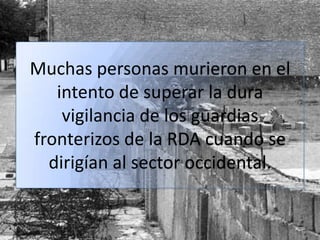 Muchas personas murieron en el
intento de superar la dura
vigilancia de los guardias
fronterizos de la RDA cuando se
dirigían al sector occidental.
 