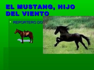 EL MUSTANG, HIJOEL MUSTANG, HIJO
DEL VIENTODEL VIENTO
 REPORTERO DOCREPORTERO DOC
 