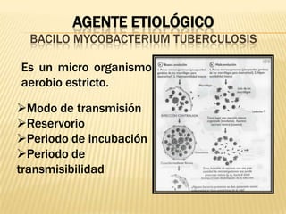 AGENTE ETIOLÓGICO
BACILO MYCOBACTERIUM TUBERCULOSIS
Es un micro organismo
aerobio estricto.
Modo de transmisión
Reservorio
Periodo de incubación
Periodo de
transmisibilidad