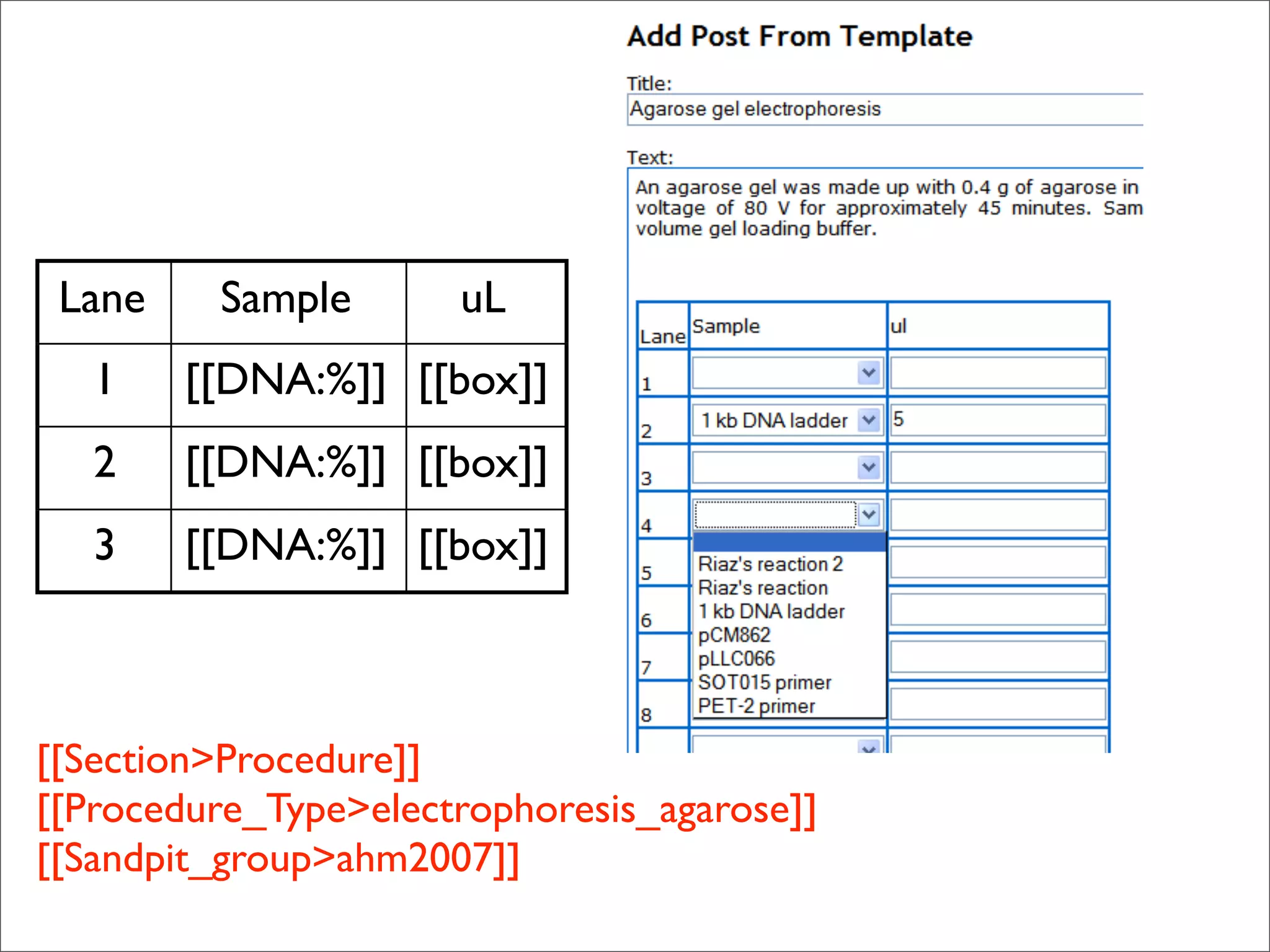 The lab that was born on the web