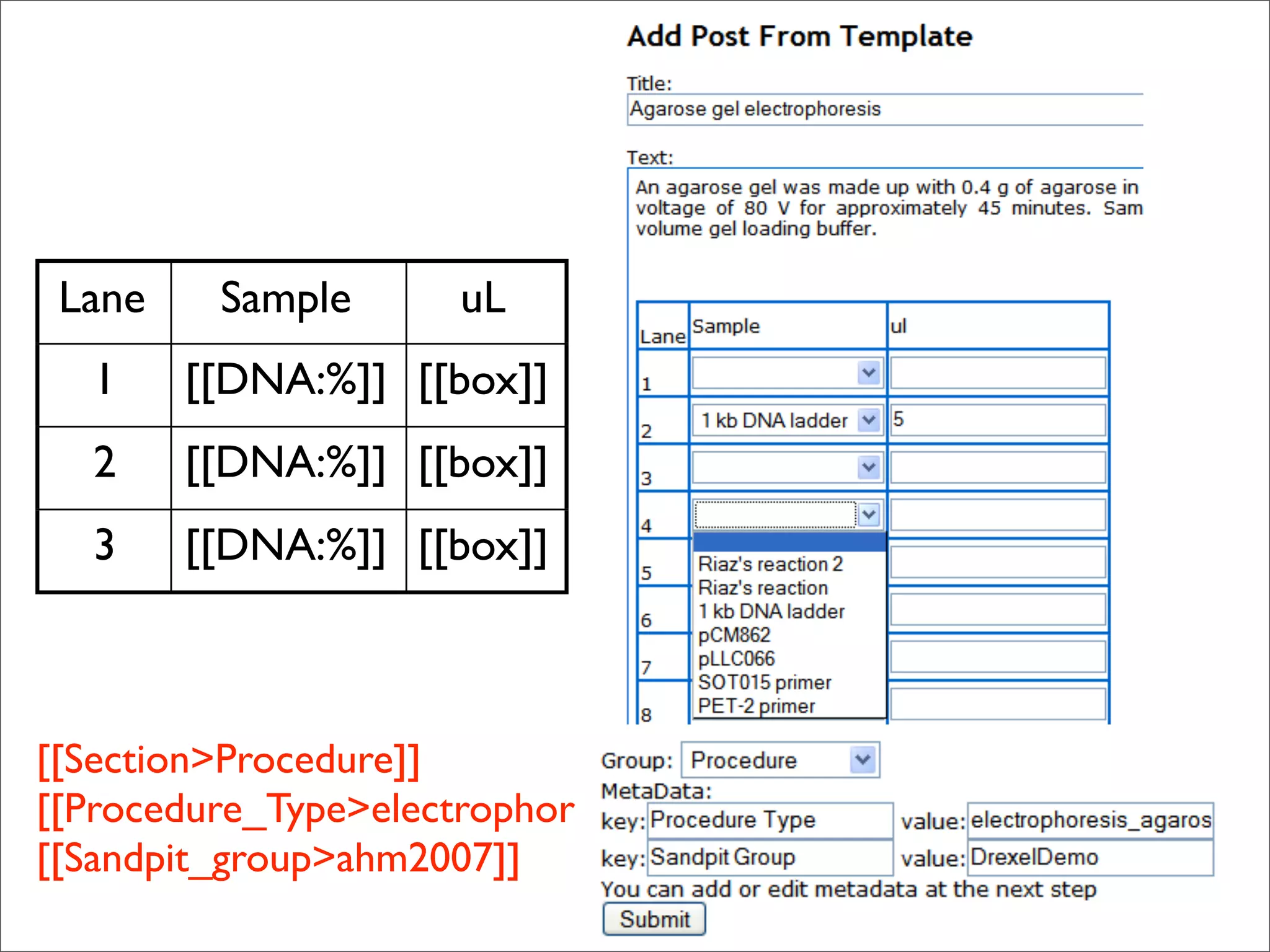 The lab that was born on the web