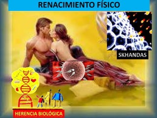 RENACIMIENTO FÍSICO
 