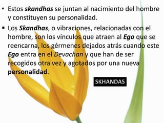 • Estos skandhas se juntan al nacimiento del hombre
  y constituyen su personalidad.
 Los Skandhas, o vibraciones, relacionadas con el
  hombre, son los vínculos que atraen al Ego que se
  reencarna, los gérmenes dejados atrás cuando este
  Ego entra en el Devachan y que han de ser
  recogidos otra vez y agotados por una nueva
  personalidad.
 