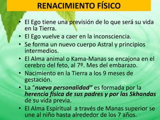 RENACIMIENTO FÍSICO
• El Ego tiene una previsión de lo que será su vida
  en la Tierra.
• El Ego vuelve a caer en la inconsciencia.
• Se forma un nuevo cuerpo Astral y principios
  intermedios.
• El Alma animal o Kama-Manas se encajona en el
  cerebro del feto, al 7º. Mes del embarazo.
• Nacimiento en la Tierra a los 9 meses de
  gestación.
• La “nueva personalidad” es formada por la
  herencia física de sus padres y por las Skhandas
  de su vida previa.
• El Alma Espiritual a través de Manas superior se
  une al niño hasta alrededor de los 7 años.
 