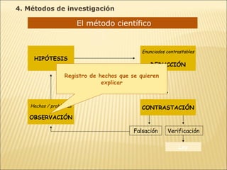 El método científico  Hechos / problemas OBSERVACIÓN HIPÓTESIS Enunciados contrastables DEDUCCIÓN CONTRASTACIÓN Falsación Verificación Ley Registro de hechos que se quieren explicar 4. Métodos de investigación 