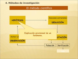 El método científico  Hechos / problemas OBSERVACIÓN HIPÓTESIS Enunciados contrastables DEDUCCIÓN CONTRASTACIÓN Falsación Verificación Ley Explicación provisional de un fenómeno. 4. Métodos de investigación 