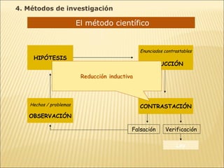 El método científico  Hechos / problemas OBSERVACIÓN HIPÓTESIS Enunciados contrastables DEDUCCIÓN CONTRASTACIÓN Falsación Verificación Ley Reducción inductiva 4. Métodos de investigación 