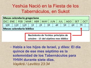 Yeshúa Nació en la Fiesta de los
     Tabernáculos, en Sukot




– Habla a los hijos de Israel, y diles: El día
  quince de ese mes séptimo es la
  solemnidad de los Tabernáculos para
  YHVH durante siete días.
  Vayikrá / Levítico 23:34
 
