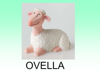 OVELLA
 