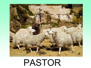 PASTOR
 