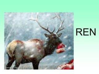 REN
 