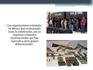 • Las organizaciones criminales
en México han evolucionado
hasta la sofisticación, son ya
empresas criminales
transnacionales que han
superado a otros grupos
delincuenciales .
 