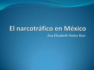 Ana Elizabeth Nuñez Ruiz

 