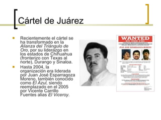 Cártel de Juárez Recientemente el cártel se ha transformado en la  Alianza del Triángulo de Oro , por su liderazgo en los estados de Chihuahua (fronterizo con Texas al norte), Durango y Sinaloa.  Hasta 2004, la organización era liderada por Juan José Esparragoza Moreno, también conocido como  El Azul,  siendo reemplazado en el 2005 por Vicente Carrillo Fuentes alias  El Viceroy . 