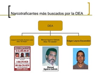 Narcotraficantes más buscados por la DEA DEA Joaquín Archivaldo Guzmán Loera Alias “El Chapo” Manuel Aguirre Galindo Alias “El Caballo” Edgar Leyva Escandón 
