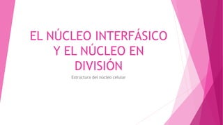 EL NÚCLEO INTERFÁSICO
Y EL NÚCLEO EN
DIVISIÓN
Estructura del núcleo celular
 