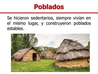 Poblados
Se hicieron sedentarios, siempre vivían en
el mismo lugar, y construyeron poblados
estables.
 