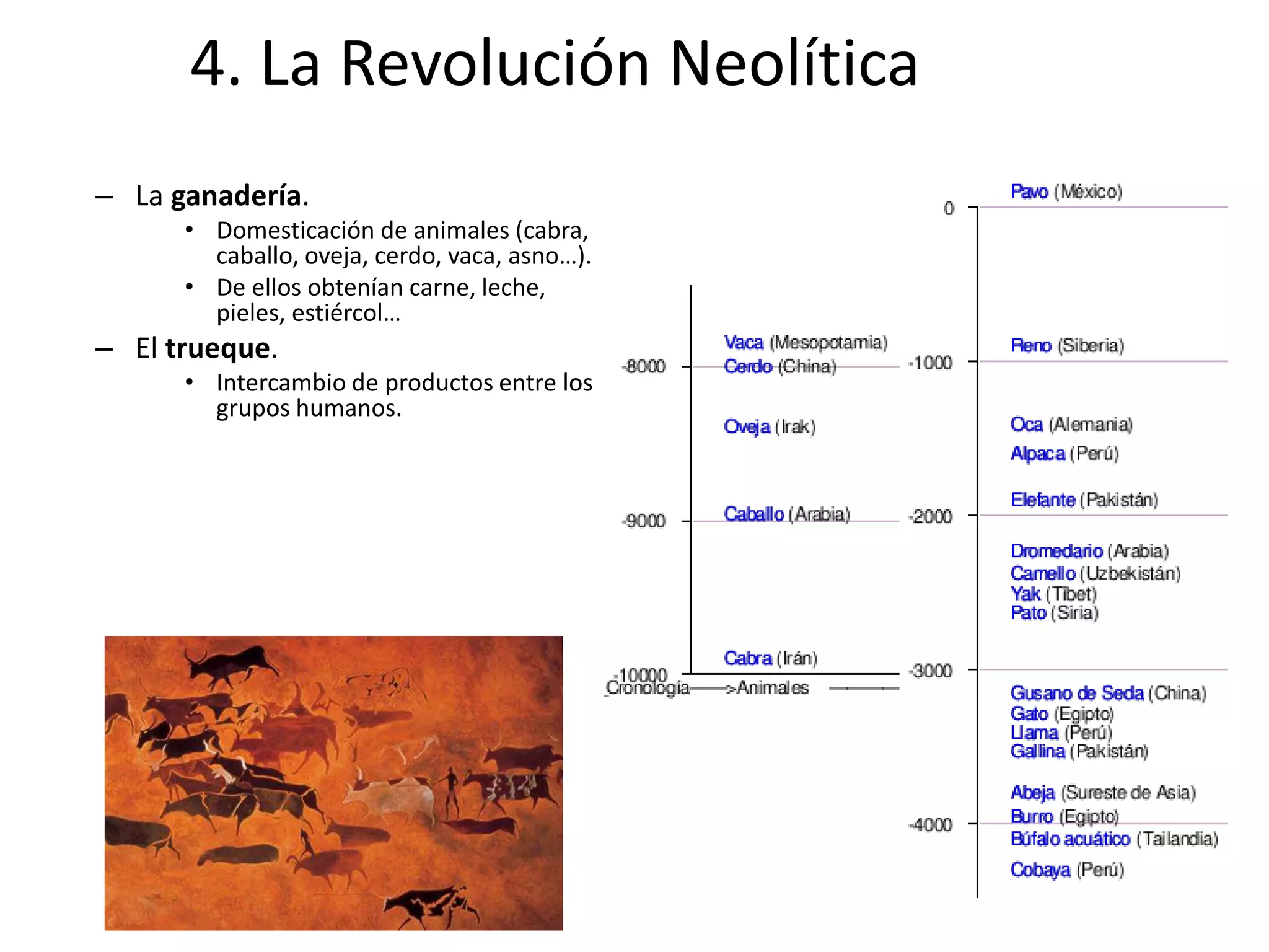 El neolitico y la edad de los metales | PPTX