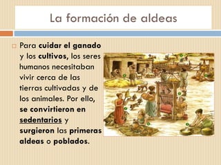 La formación de aldeas
 Para cuidar el ganado
y los cultivos, los seres
humanos necesitaban
vivir cerca de las
tierras cultivadas y de
los animales. Por ello,
se convirtieron en
sedentarios y
surgieron las primeras
aldeas o poblados.
 
