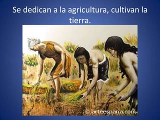 Se dedican a la agricultura, cultivan la
                tierra.
 