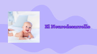 El Neurodesarrollo
El Neurodesarrollo
 