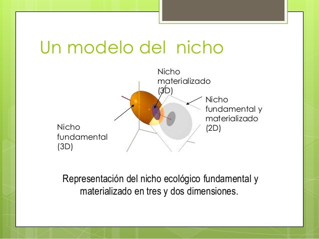 El nicho