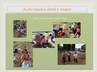 - Quitar malas hierbas, limpiar, regar…
Actividades abril y mayo
 
