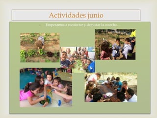 
- Empezamos a recolectar y degustar la cosecha…
Actividades junio
 