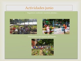 
- Seguimos cuidando nuestras plantas…
- Disfrutamos del espacio del huerto…
Actividades junio
 