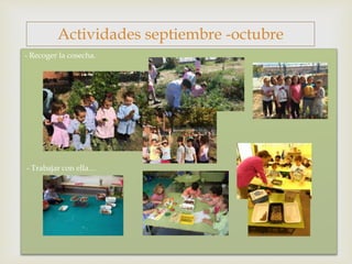 
- Recoger la cosecha.
- Trabajar con ella…
Actividades septiembre -octubre
 