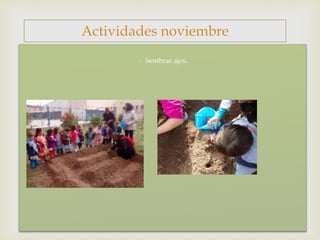 - Sembrar ajos.
Actividades noviembre
 