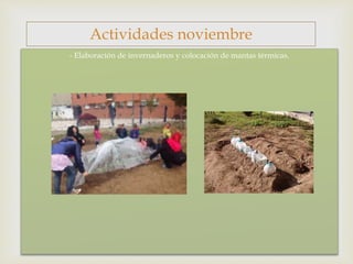 
- Elaboración de invernaderos y colocación de mantas térmicas.
Actividades noviembre
 