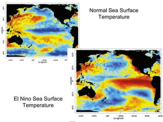 El Nino Sea Surface
Temperature
Normal Sea Surface
Temperature
 