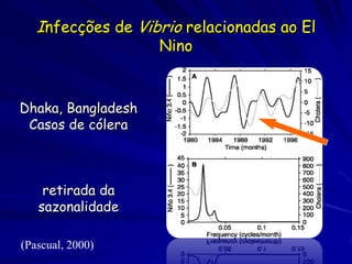 Infecções de Vibrio relacionadas ao El
                    Nino


Dhaka, Bangladesh
 Casos de cólera



    retirada da
   sazonalidade

(Pascual, 2000)
 