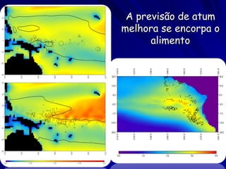 A previsão de atum
melhora se encorpa o
      alimento
 