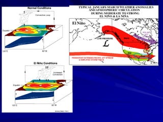 http://www.pmel.noaa.gov/toga-tao/el-nino/nino-home.html
 