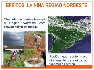 EFEITOS LA NIÑA REGIÃO NORDESTE
Chegada das frentes frias até
a Região Nordeste com
chuvas acima da média.
Região que sente mais
diretamente os efeitos do
fenômeno La Niña.
 