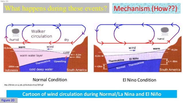 El Nino And La Nina Impact On Monsoon Rainfall Of India