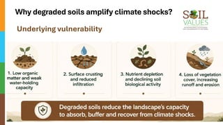 Funded by Coalition Partners
Why degraded soils amplify climate shocks?
Underlying vulnerability
 