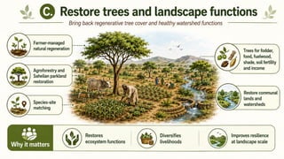 Funded by Coalition Partners
 