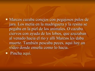 Marcos cazaba conejos con pegajosos palos de jara. Los metía en la madriguera y la resina se pegaba en la piel de los animales. O cazaba ciervos con ayuda de los lobos, que azuzaban al venado hacia el río y allí Marcos les daba muerte. También pescaba peces, aquí hay un video donde enseña como lo hacia. Pincha  aquí . 