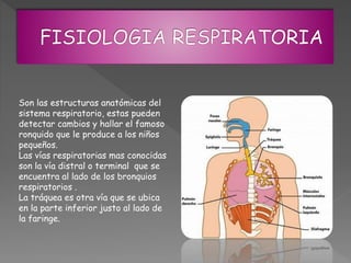 Son las estructuras anatómicas del
sistema respiratorio, estas pueden
detectar cambios y hallar el famoso
ronquido que le produce a los niños
pequeños.
Las vías respiratorias mas conocidas
son la vía distral o terminal que se
encuentra al lado de los bronquios
respiratorios .
La tráquea es otra vía que se ubica
en la parte inferior justo al lado de
la faringe.
 