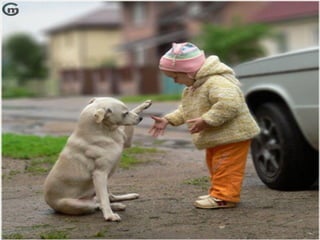 El niño y su perro
