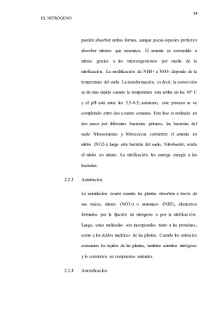 14 
EL NITRÓGENO 
pueden absorber ambas formas, aunque pocas especies prefieren 
absorber nitratos que amoniaco. El amonio es convertido a 
nitrato gracias a los microorganismos por medio de la 
nitrificación. La modificación de NH4+ a NO3- depende de la 
temperatura del suelo. La transformación, es decir, la conversión 
se da más rápida cuando la temperatura esta arriba de los 10° C 
y el pH está entre los 5.5-6.5; asimismo, este proceso se ve 
completado entre dos a cuatro semanas. Esta fase es realizada en 
dos pasos por diferentes bacterias: primero, las bacterias del 
suelo Nitrosomonas y Nitrococcus convierten el amonio en 
nitrito (NO2-), luego otra bacteria del suelo, Nitrobacter, oxida 
el nitrito en nitrato. La nitrificación les entrega energía a las 
bacterias. 
2.2.3 Asimilación. 
La asimilación ocurre cuando las plantas absorben a través de 
sus raíces, nitrato (NO3-) o amoniaco (NH3), elementos 
formados por la fijación de nitrógeno o por la nitrificac ión. 
Luego, estas moléculas son incorporadas tanto a las proteínas, 
como a los ácidos nucleicos de las plantas. Cuando los anima les 
consumen los tejidos de las plantas, también asimilan nitrógeno 
y lo convierten en compuestos animales. 
2.2.4 Amonificación 
 
